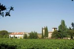 chateau-de-berne