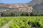 chateau-rouet