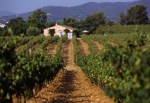 domaine-andre-figuiere